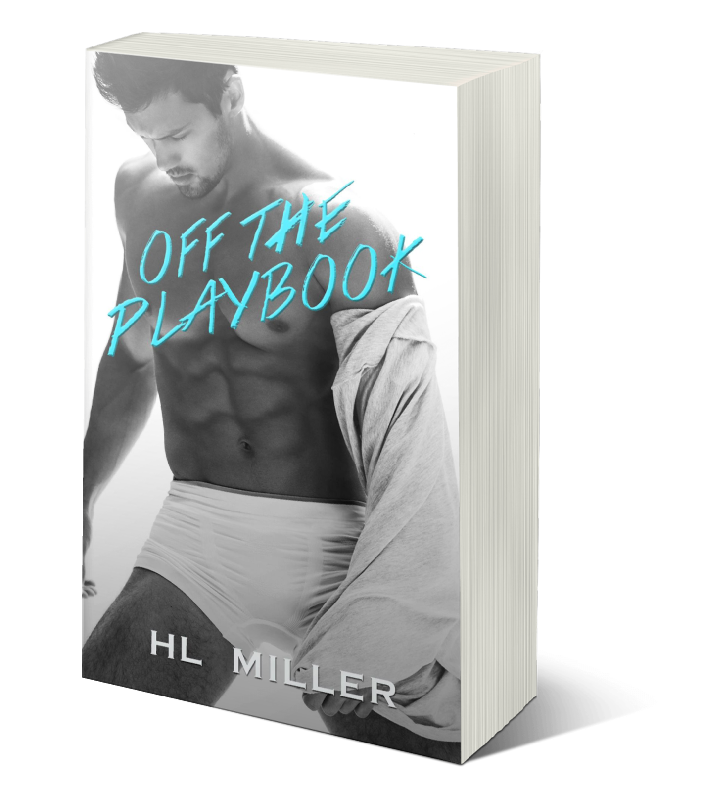 3D image of Off the Playbook novella